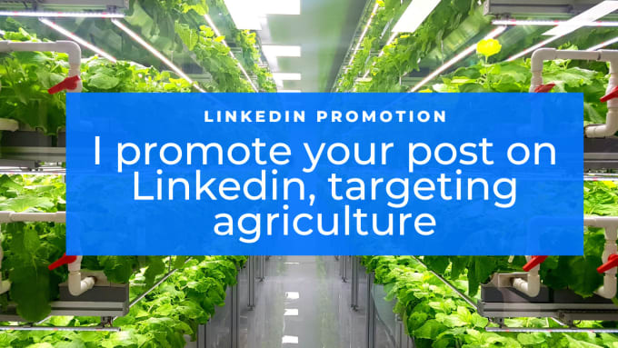 Gig Preview - Promote your agriculture article on linkedin