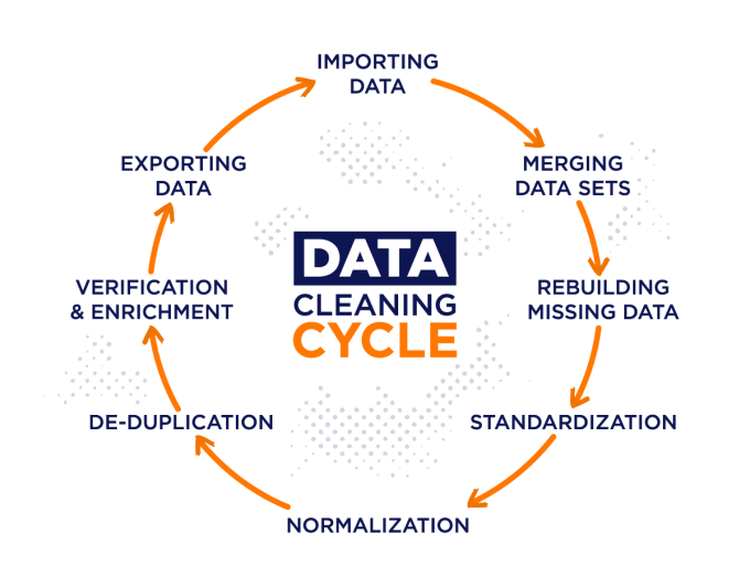 Gig Preview - Data cleansing and transformation services for your business data