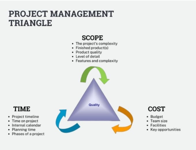 Gig Preview - Create a professional gantt chart and project plan with microsoft project