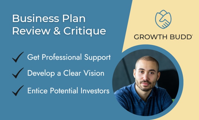 Gig Preview - Review and critique your business plan