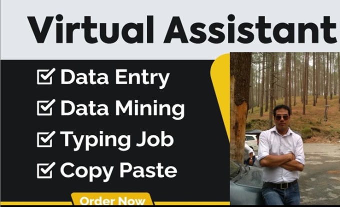 Gig Preview - Be your virtual assistant for data entry, data mining, copy paste, web research