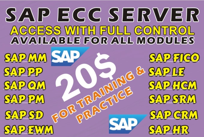 Gig Preview - Provide sap server for training and practice