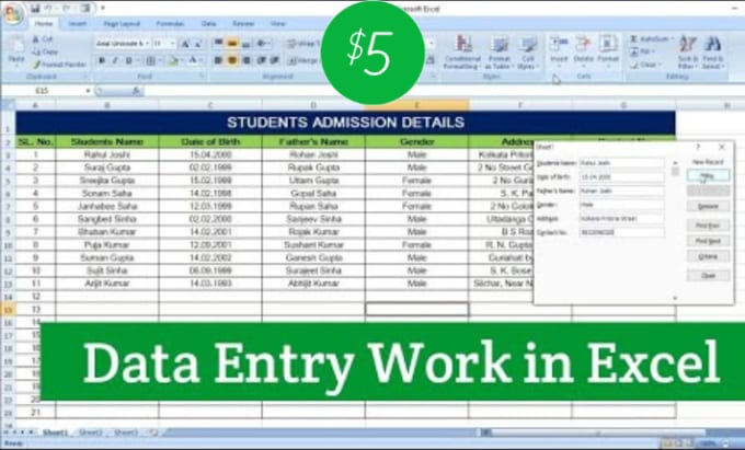 Gig Preview - Do any type data entry, data entry, PDF to excel data entry