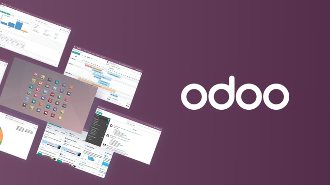 Gig Preview - Develop and customize your odoo modules