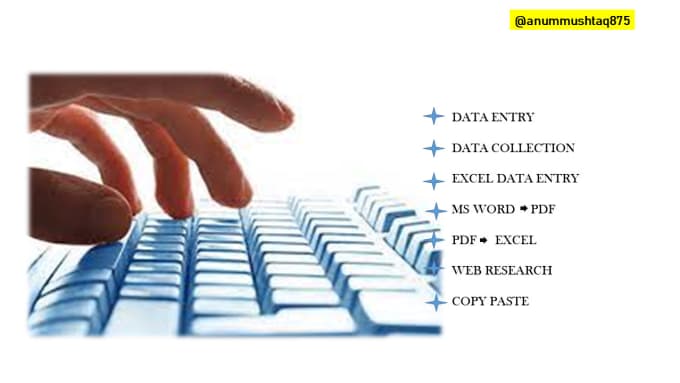 Gig Preview - Do data entry on microsoft excel