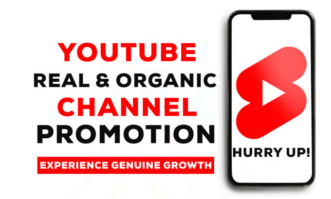 Gig Preview - Do super fast organic youtube channel promotion for natural growth