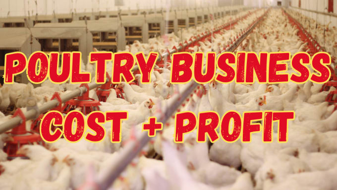 Gig Preview - Write broiler chicken poultry farming startup business plan