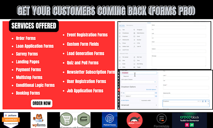 Gig Preview - Build gravity form formidable, order form , loan, survey, landing page site