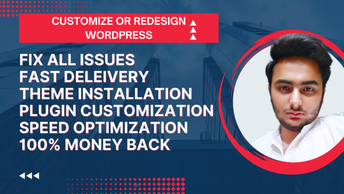 Gig Preview - Customize redesign revamp redo fix issues wordpress website