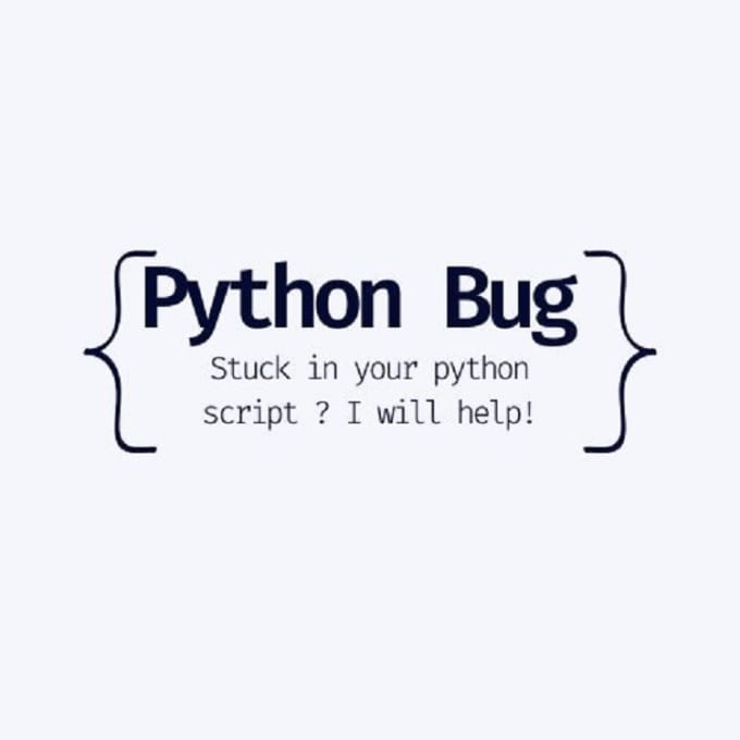 Gig Preview - Do bug fixing in your python code