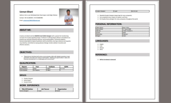 Gig Preview - Design professional resume and  CV design