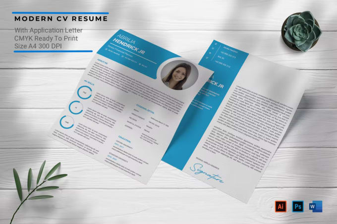 Gig Preview - Make professional resume design as per your like