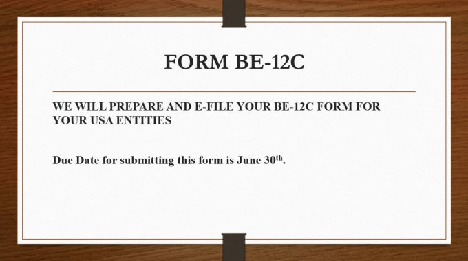 Gig Preview - Prepare and e file your be survey for your USA entity