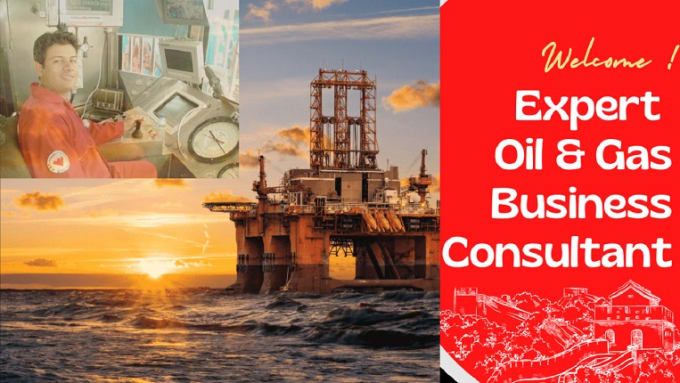 Gig Preview - Be your oil and gas industry expert consultant