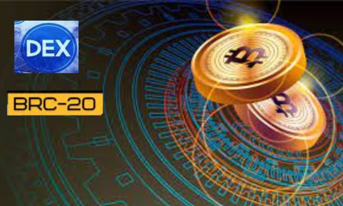 Gig Preview - Launch a brc20 ido dex on the brc20 blockchain for you