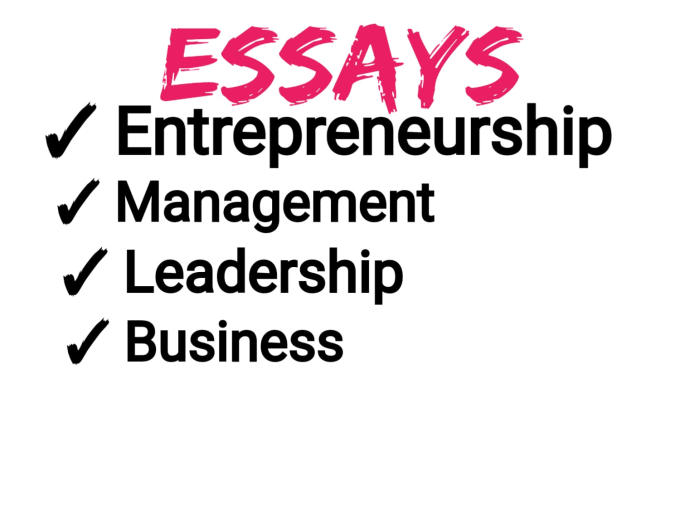 Gig Preview - Do entrepreneurship, leadership, management theory essays