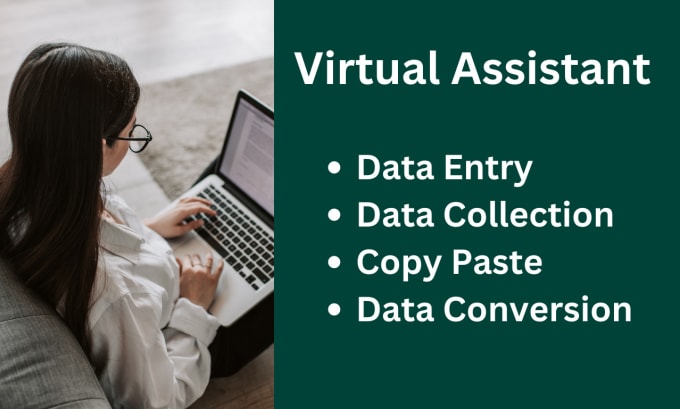 Gig Preview - Be your virtual assistance for any type of data entry