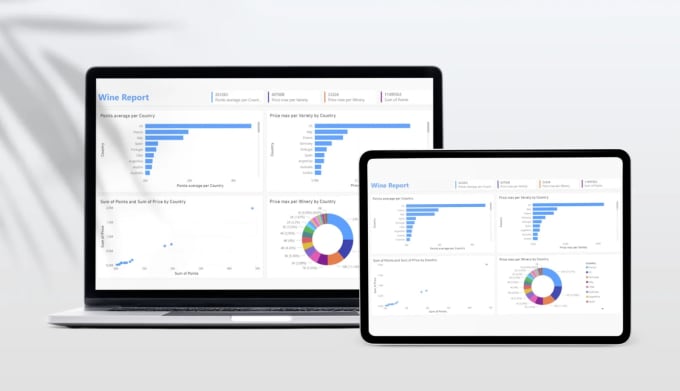 Gig Preview - Do data visualization using python, power bi and excel