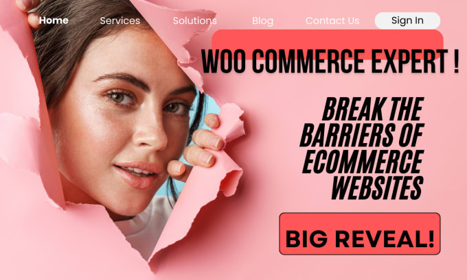 Gig Preview - Build ecommerce, woocommerce customization, and online store