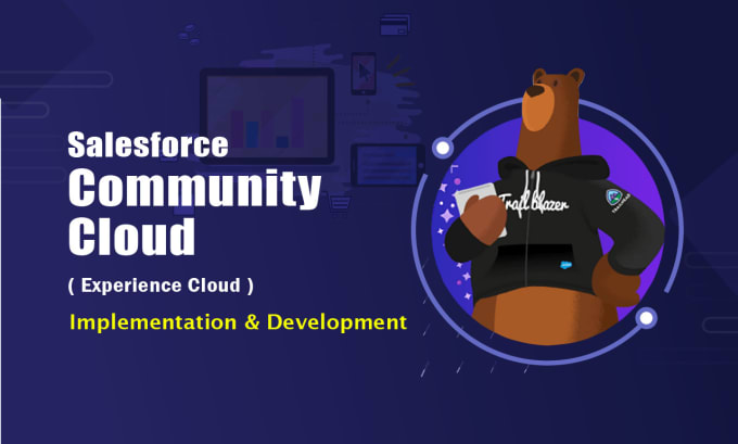 Gig Preview - Be you salesforce community or experience cloud consultant