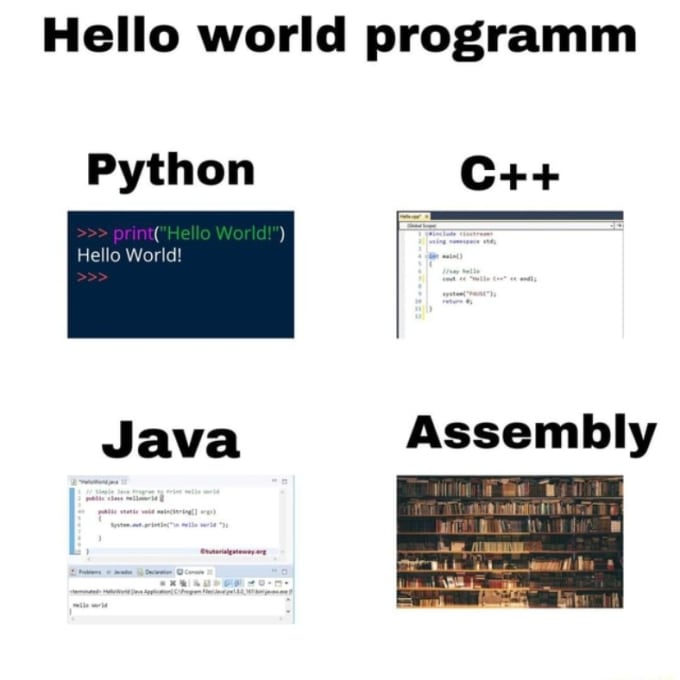 Gig Preview - Help in java, python, cpp, programming and sql assembly projects