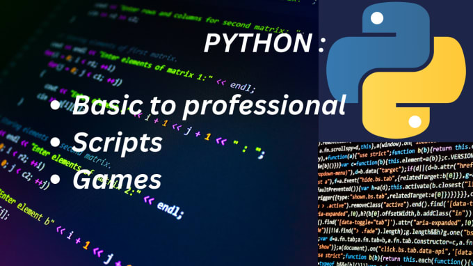 Gig Preview - Teach you about python programming