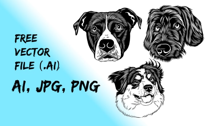 Gig Preview - Draw your animal photo in to black and white with my style