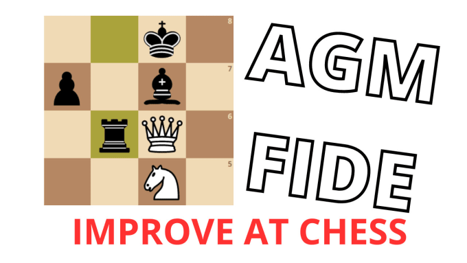 Gig Preview - Unleash your chess potential with personalized lessons for all skill levels