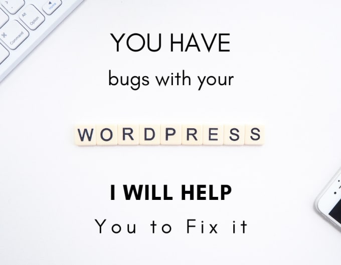 Gig Preview - Help you with wordpress bugs fix