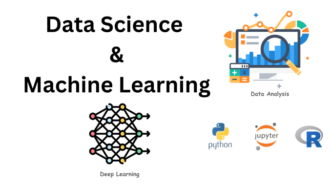 Gig Preview - Provide data science, machine learning and data analysis services