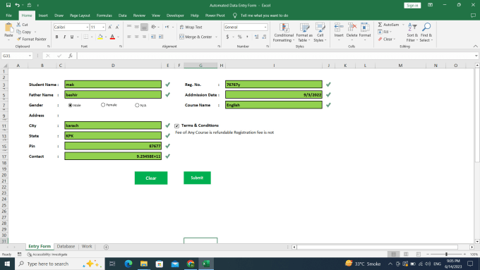 Gig Preview - Create excel data entry and inventory management form or system