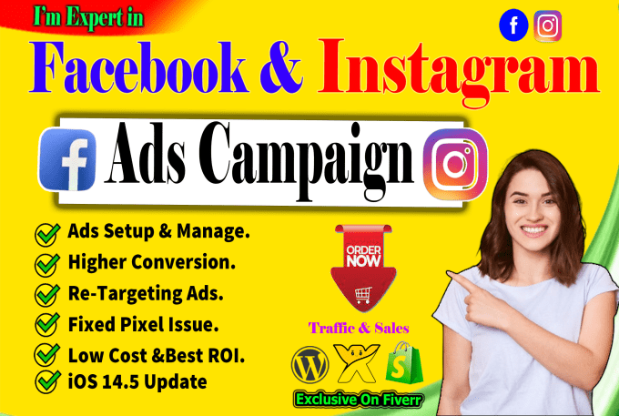 Gig Preview - Create facebook ads campaign using fb ad campaign manager and an instagram ads