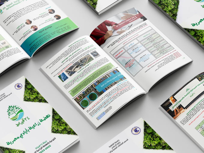 Gig Preview - Design professional  brochures for your business