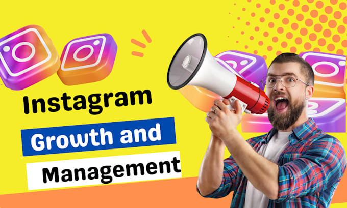 Gig Preview - Do fast organic instagram growth