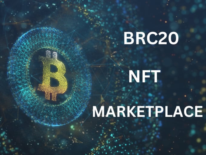 Gig Preview - Provide technical support for your brc20 nft marketplace