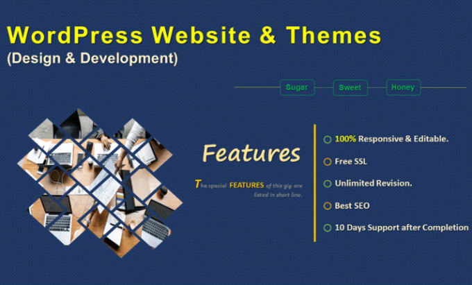 Gig Preview - Design and develop the perfect wordpress website