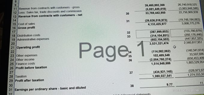 Gig Preview - Prepare the financial statements and perform bookkeeping