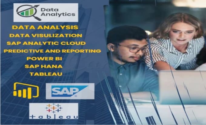 Gig Preview - Do data analyst data visualization  sap bi report  power bi