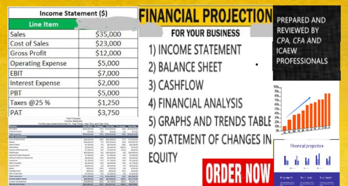 Gig Preview - Provide financial statement forecasts, projections, modeling