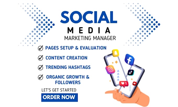 Gig Preview - Be your social media marketing manager and content creator