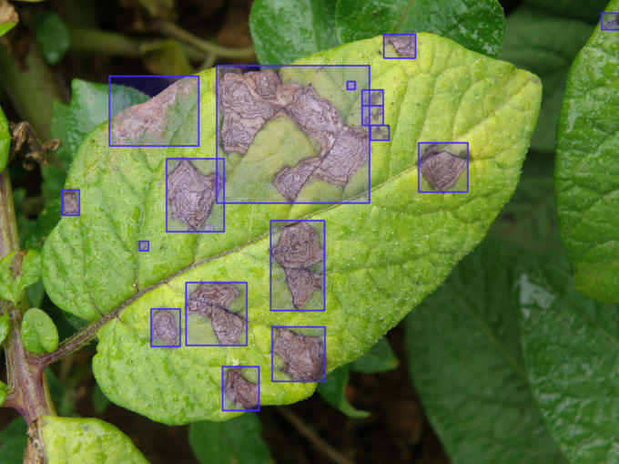 Gig Preview - Do image segmentation, masking, labeling, and bounding box for ai