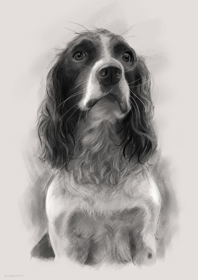 Gig Preview - Draw a pet portrait