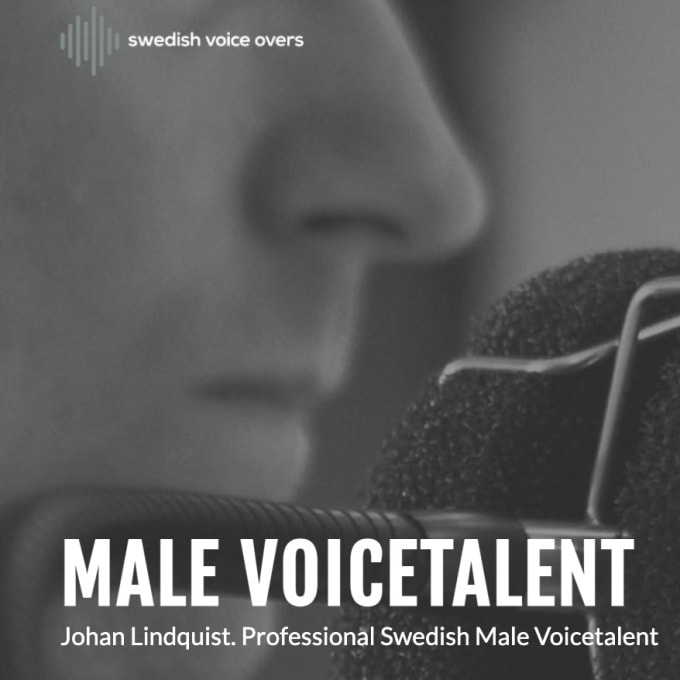 Gig Preview - Voice your video game in swedish or english