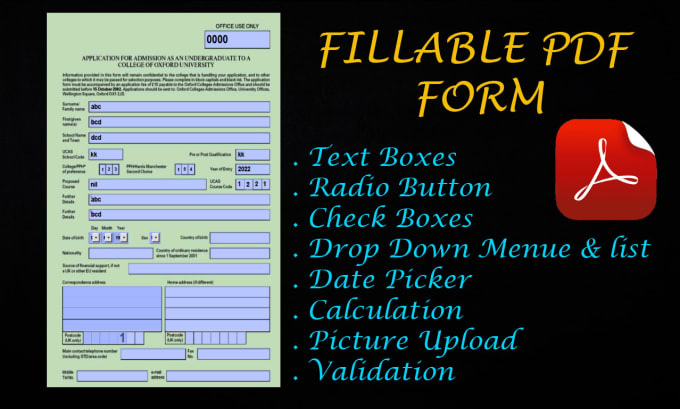 Gig Preview - Create professional PDF form creator and design