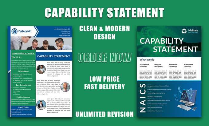 Gig Preview - Design professional and government capability statement with flyer