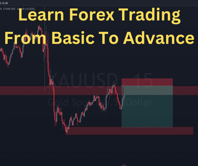 Gig Preview - Teach you from basic to advanced forex trading