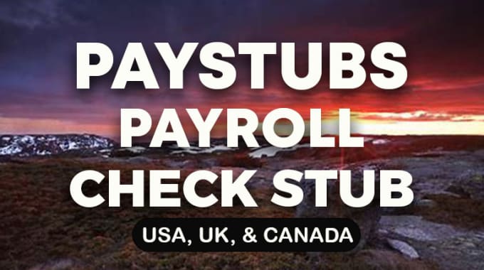 Gig Preview - Make paystub, payroll, check stubs, w2 stub, payslip