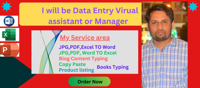 Gig Preview - Be your data entry virtual assistant or manager