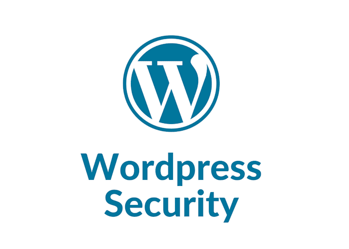 Gig Preview - Secure wordpress website against hackers