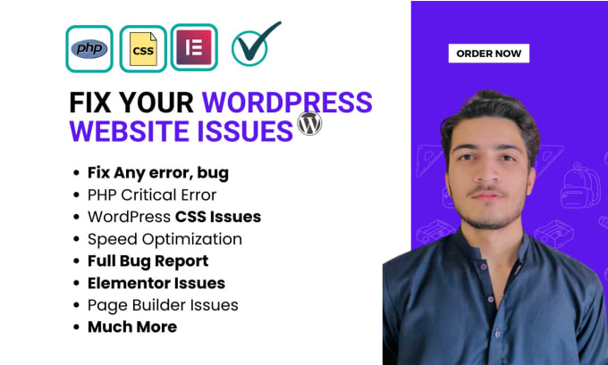 Gig Preview - Fix wordpress issues, elementor, woocommerce errors, and bugs